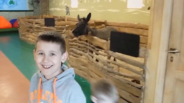 Влог. Смотрим животных. В Лесном посольстве кричит Осёл Дети напугались. Фломастер! смотреть онлайн