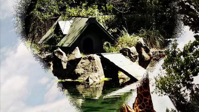 Моя будущая профессияФотограф Рогачёва София смотреть онлайн