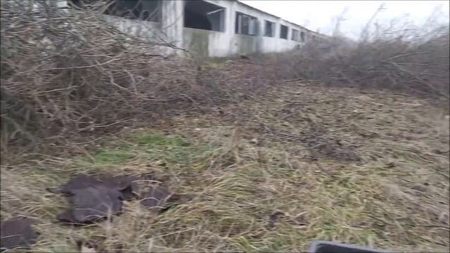 МЕТАЛЛОКОП на ФЕРМЕ. Добротный металл. УВЕСИСТЫЕ БОЛВАНКИ и пластины. 2023. смотреть онлайн