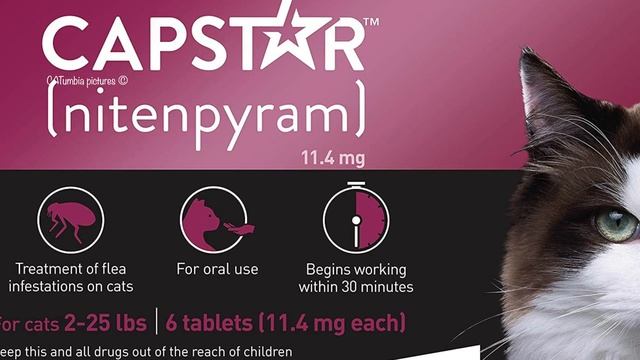 HOW TO GET RID OF FLEAS FAST, CHEAP AND EASY ? LEARN SECRETS HOW TO TREAT YOUR CAT KITTEN AND HOME смотреть онлайн