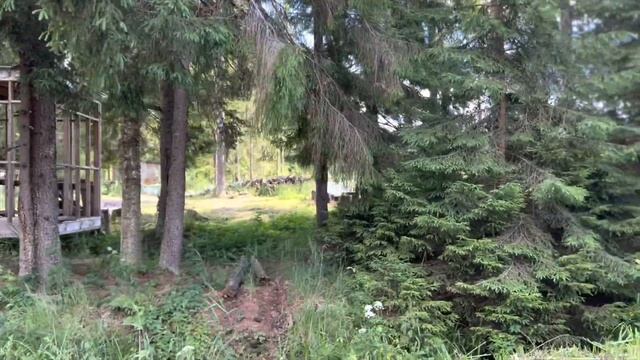 ПО ДАЧАМ//ЭТАПЫ СТРОИТЕЛЬСТВА//ЖИЗНЬ ДАЧНИКА//КОРМЛЮ ЕЖА смотреть онлайн