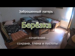 Заброшенный лагерь Берёзка. На территории четырёхлапый сторож