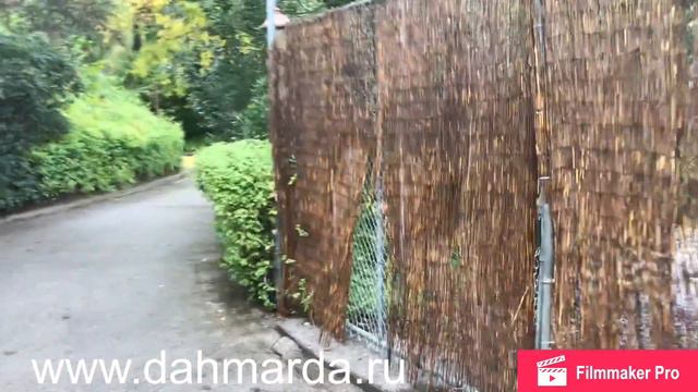 Экскурсия по зоопарку Лос-Анджелеса