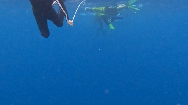 Great Barrier Reef July 2022, Ribbon Reef 10 смотреть онлайн