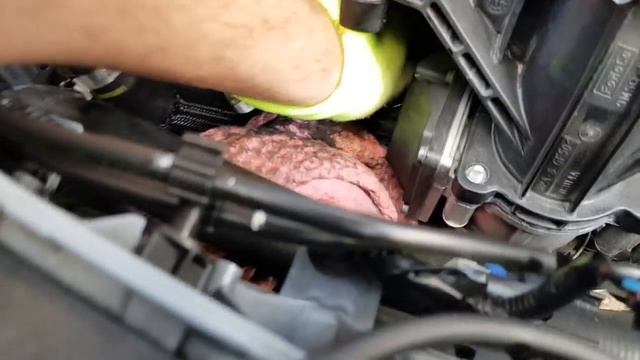 Ford Kuga Service MK2 (Ford Escape) - How To change oil and filter/air fllter смотреть онлайн