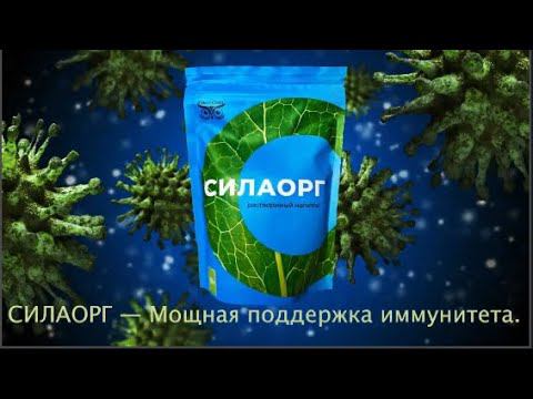 СИЛАОРГ - СИЛА ОРГАНИЗМА