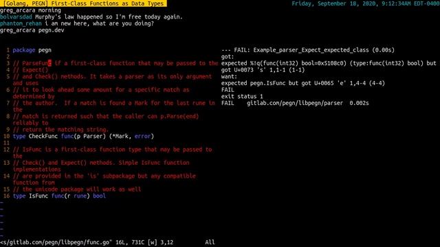 [Golang, PEGN] First-Class Functions as Data Types смотреть онлайн