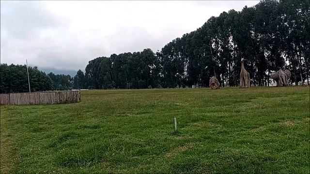 🌴🌴Volcanoes National Park - Rwanda, Africa смотреть онлайн