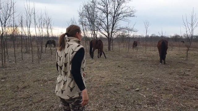 Ласки плетут гривы лошадям? смотреть онлайн