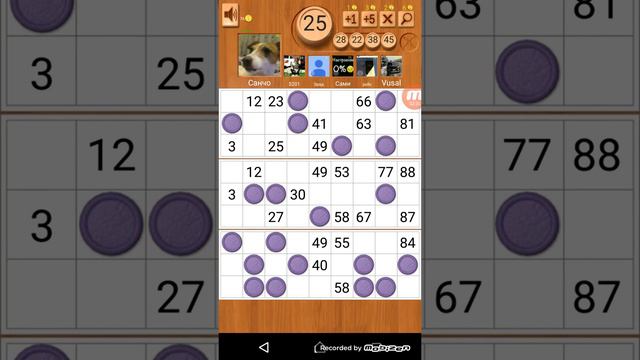 Обзор игры лото