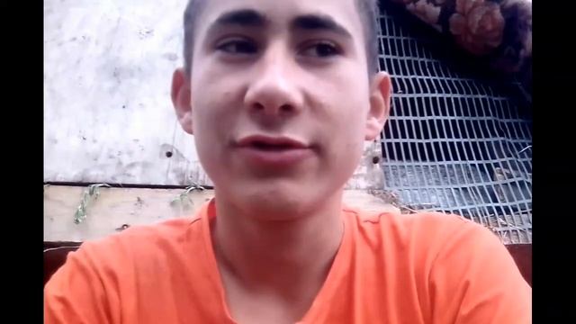 Как посадить курицу на яйца.Дедовский метод//Проверено Солнечным Селом смотреть онлайн