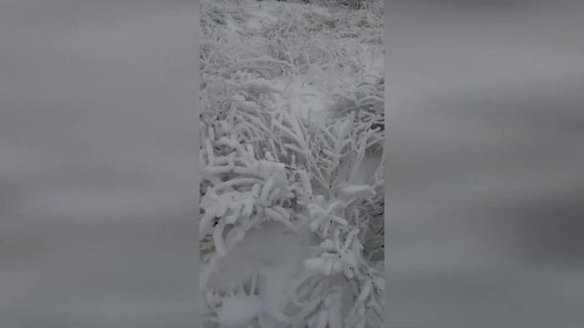 Потрясающая зима\Стихи о зиме, автор Лариса Кузьминская смотреть онлайн