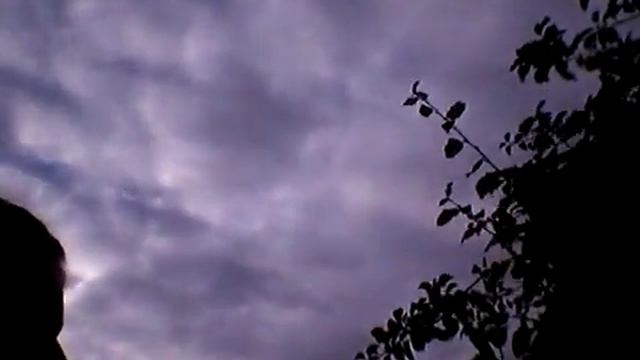 We got vegetables growing in our garden!!!! LittleFruity bug29 смотреть онлайн