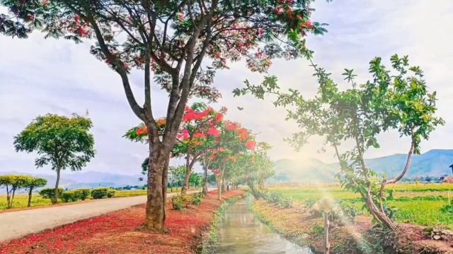 Mw poranan esse hiya birung birung gorer।।Chakma Song।। смотреть онлайн