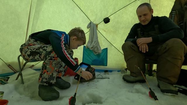 За живцом с сыном. Такого улова на перемет у меня еще не было смотреть онлайн