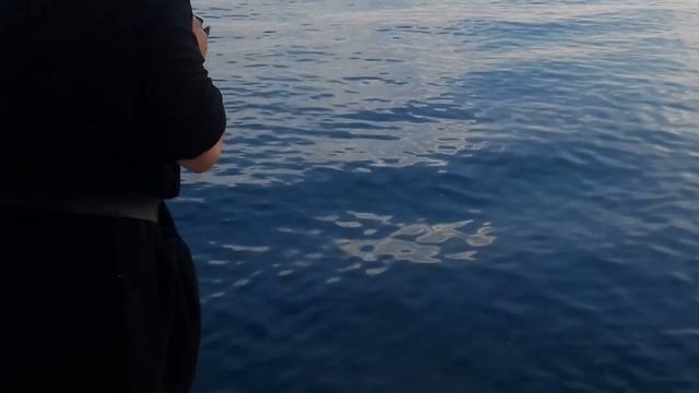 Άγιον Όρος: Μονές Γρηγορίου και Ξενοφώντος // Святой Афон: Монастыри Григориат и Ксенофонта. смотреть онлайн