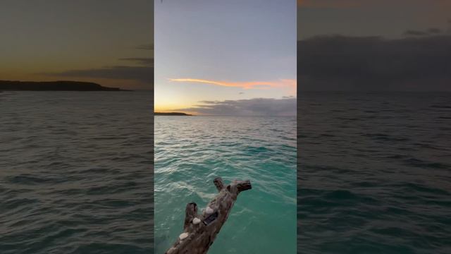 Omg 😨 miren esto #videosvirais #cubanosenelmundo #caribbean #holguin #hotels #cuba #viral #blogs смотреть онлайн