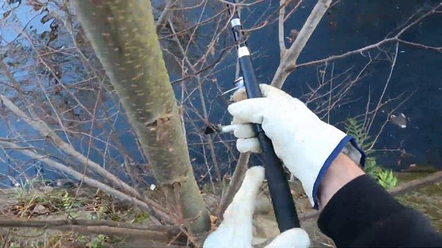 Quick Carp before Holiday -Week 4 of the Winter Fishing League смотреть онлайн