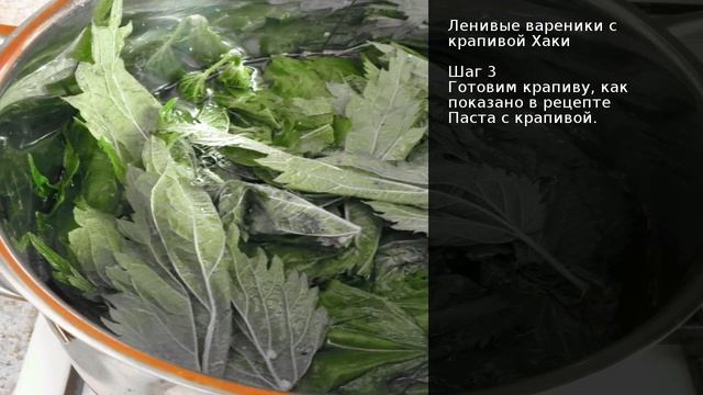 Ленивые вареники с крапивой Хаки . Рецепт от шеф повара Максима Григорьева смотреть онлайн