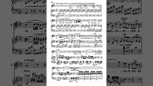 Bellini: La Sonnambula - Duetto: Prendi L'anel Ti Dono - Salvatore Gioia (195?)