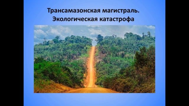 40. Урок-дебаты. Леса Амазонии смотреть онлайн