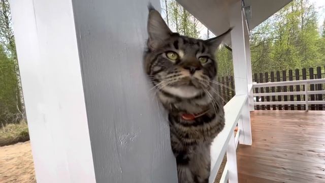 Интернетмагазин «Рита Мода» - экскурсия. Форум. Дача. Один день из жизни Риты. смотреть онлайн