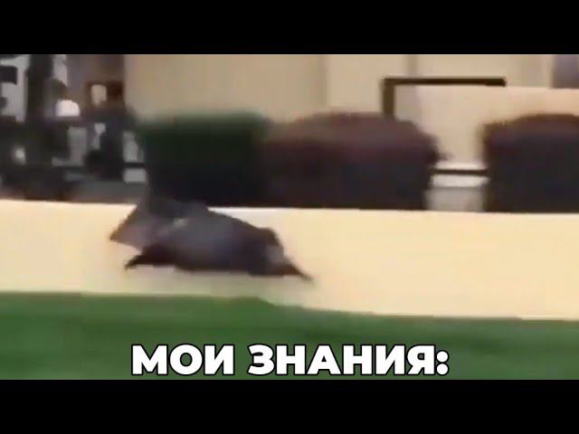 пов: мысли на важном экзамене смотреть онлайн