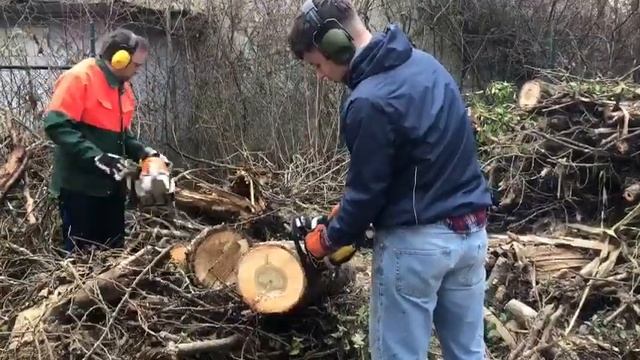 McCulloch Mac 130 Running And Cutting!