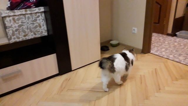 В гостях у Ксюши! смотреть онлайн