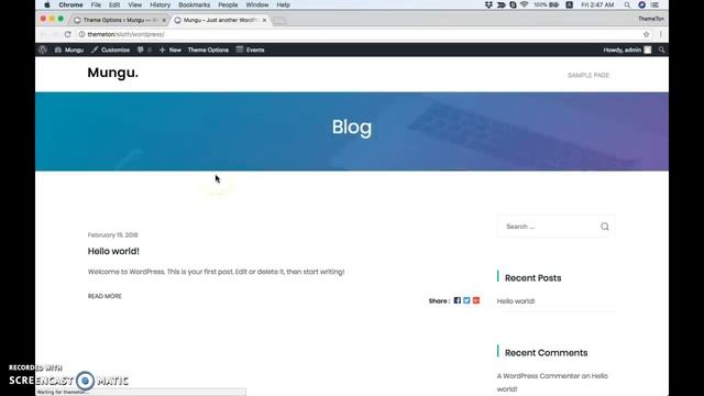 Theme Options: Lagom WordPress Theme смотреть онлайн