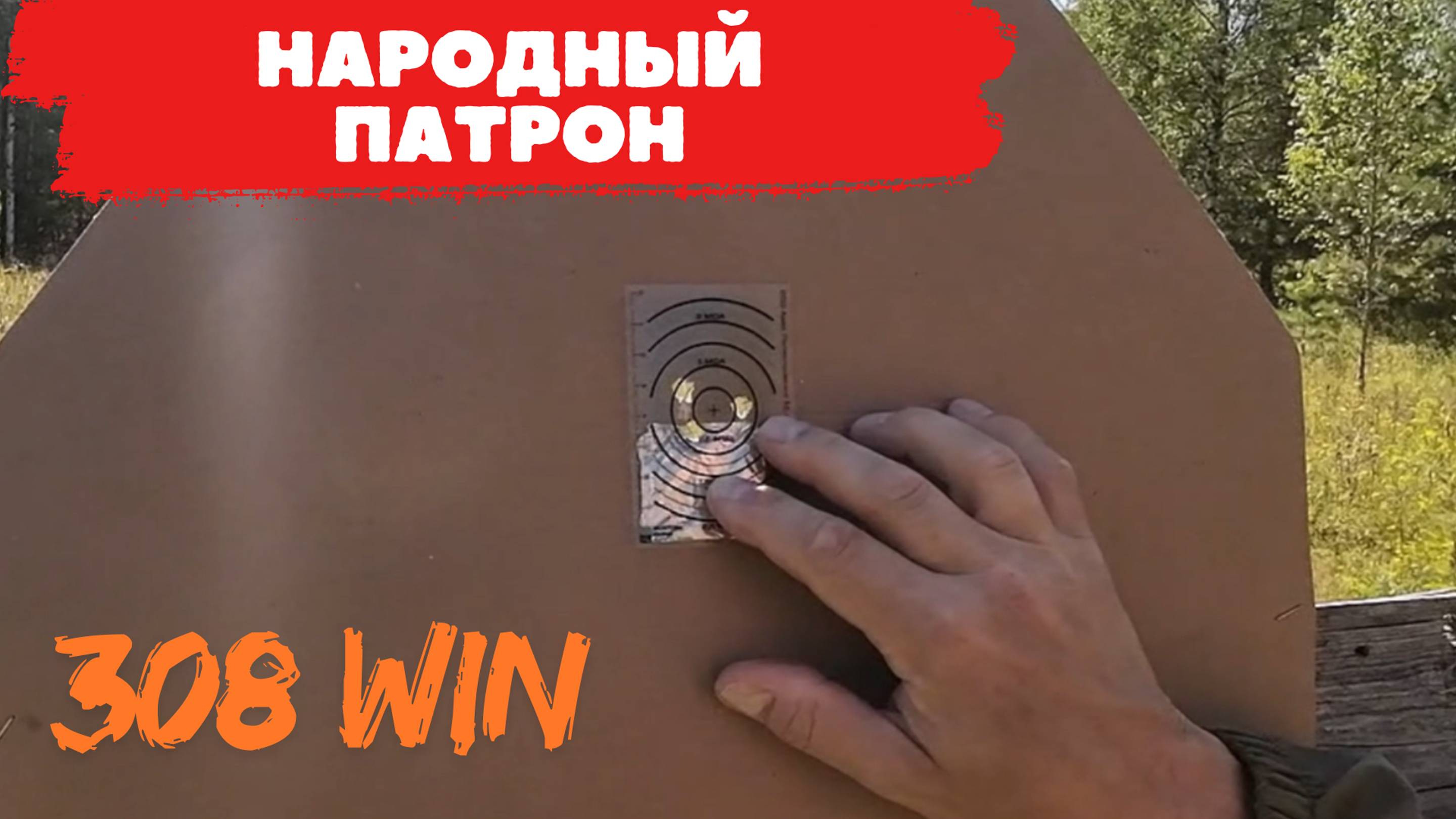 Народный патрон. 308 WIN
