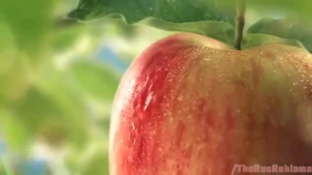 Реклама сока 2 _ RYTP смотреть онлайн