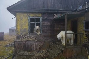 Современная цивилизация - это обмен ценностей на удобства.