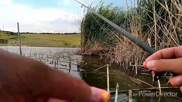 Карп на кивок в камыше | Рыбалка в Молдове | август 2018 смотреть онлайн