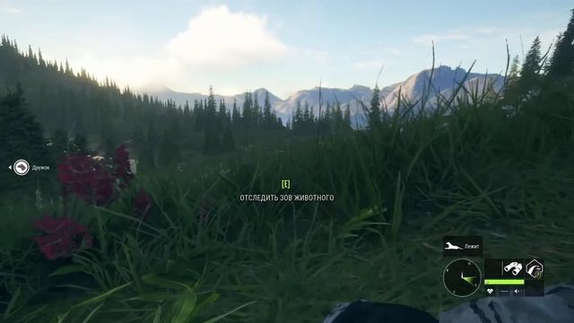 Охота на индеек в theHunter Call of the Wild (Silver Ridge Peaks) смотреть онлайн