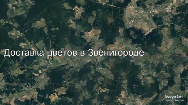 Доставка цветов в Звенигороде - Заказ букетов от компании Скорая подарочная помощь смотреть онлайн