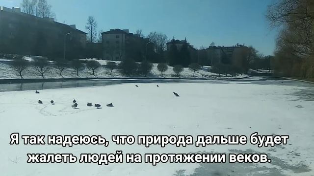 Сегодня солнце не на шутку разгулялось. Автор стихов Инна Якуш смотреть онлайн