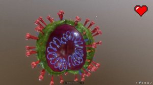 Строение вирусов. Изучаем в 3D