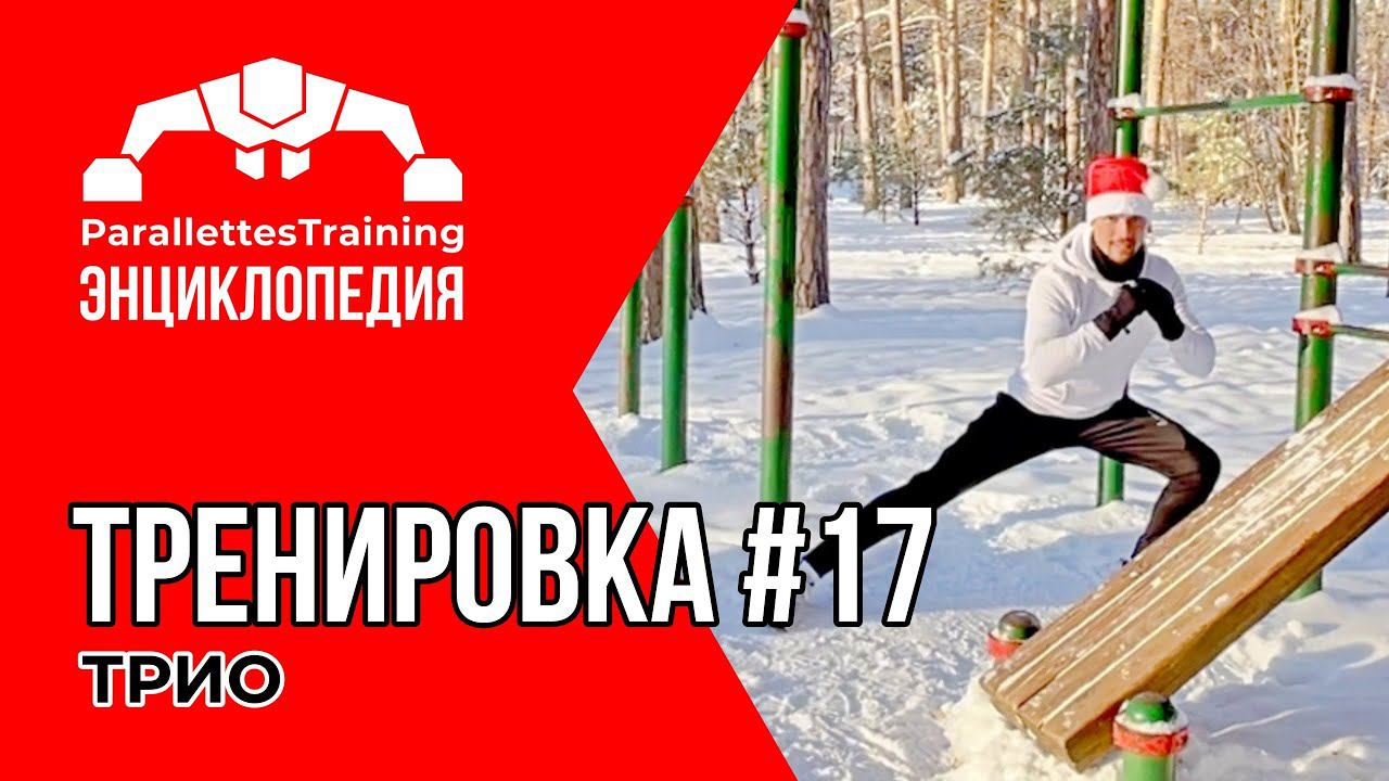 ТРИ КУЛЬТОВЫХ УПРАЖНЕНИЯ | Parallettes Training #17 смотреть онлайн
