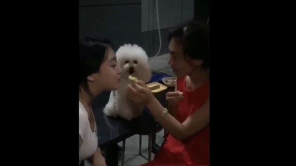 Смешные моменты.ч1