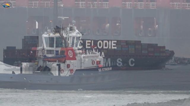 GIANT Empty CRUDE OIL TANKER Leaves ROTTERDAM - Shipspotting January 2021