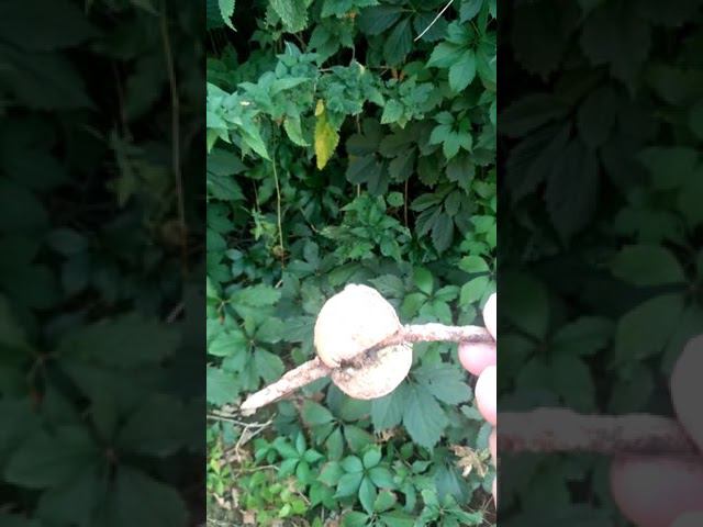 27 августа 2022 г. смотреть онлайн