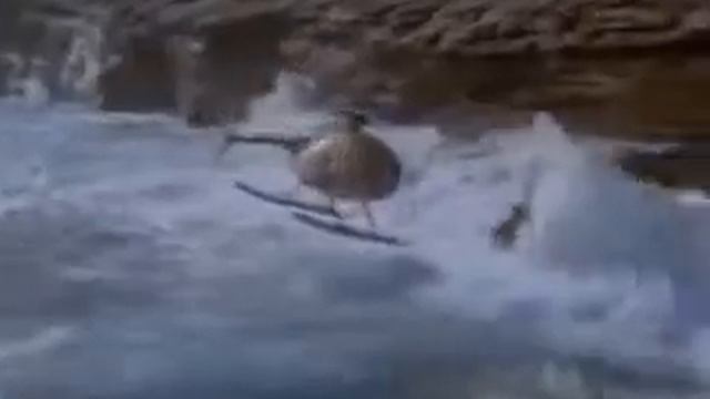 Частный детектив Магнум (Magnum P.I.)