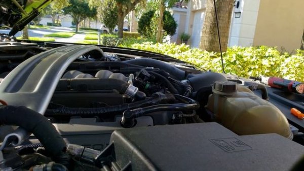 Coyote 5.0 Mustang Evap Purge solenoid replacement