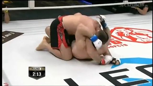 Алексей Олейник - Мирко Филипович, Турнир «Легенда» 09.11.2013 смотреть онлайн