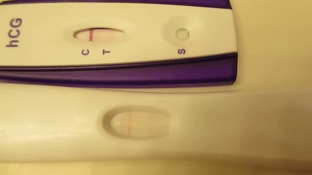 Live Pregnancy Test @ 4 weeks and 3 days смотреть онлайн