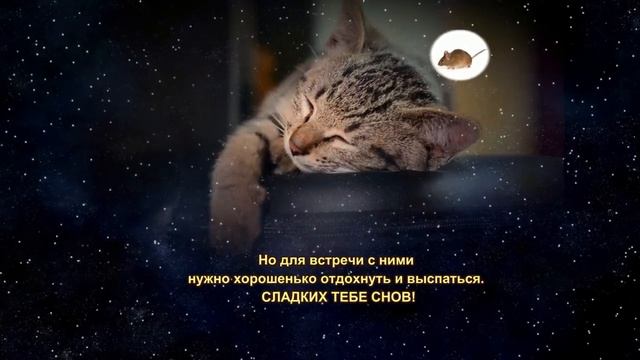 СПОКОЙНОЙ_НОЧИ?СЛАДКИХ_СНОВ?МУЗЫКАЛЬНАЯ_ОТКРЫТКА_ДЛЯ_ДРУЗЕЙ.mp4 смотреть онлайн