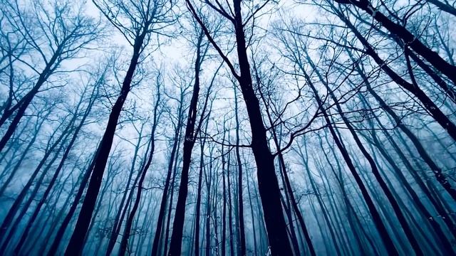 ПОТУСТРОННИЙ КОТ // МИСТИЧЕСКАЯ ИСТОРИЯ НА НОЧЬ // СТРАШНАЯ СКАЗКА // ПОДКАСТ смотреть онлайн