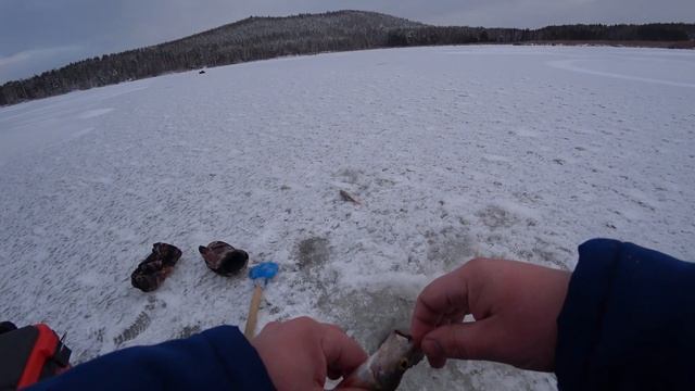 Озеро Таватуй. Первый лёд на жерлицы. Спортивная рыбалка смотреть онлайн