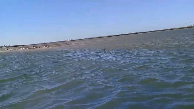 Puerto San carlos, baja california sur, isla смотреть онлайн